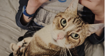david pet sitter à MAGNY EN VEXIN 95420_9