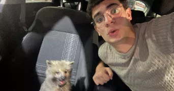 wael pet sitter à MARSEILLE 03 13003