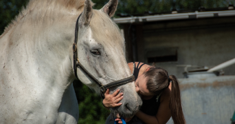 laurie pet sitter à Messimy sur saone 01480_6