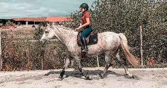 marie pet sitter à AVRAINVILLE 54385_2