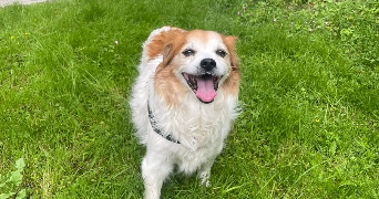 jeanne pet sitter à PARIS 14 75014_1
