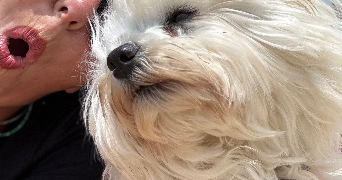 armelle pet sitter à CATENAY 76116_0