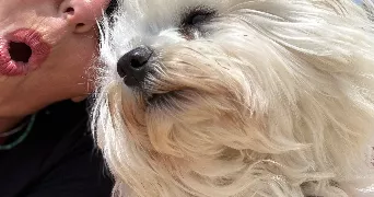 armelle pet sitter à CATENAY 76116