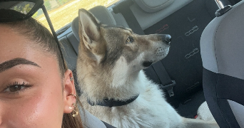eloïse pet sitter à NIORT 79000_5