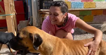 chloé pet sitter à BANNAY 18300