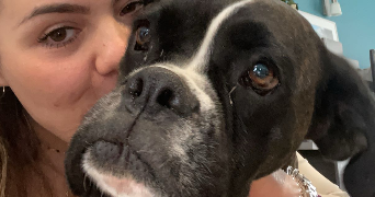 laure pet sitter à ARPAJON 91290_1