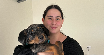 elisa pet sitter à PESSINES 17810_0