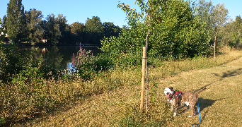 Hugues pet sitter à L ISLE ADAM 95290_9