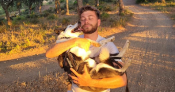 thibaut pet sitter à NEMOURS 77140_3