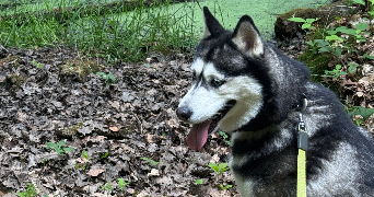 johana pet sitter à EPIEDS 27730_2