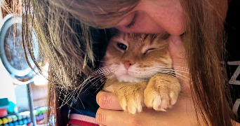 auriane pet sitter à ECOUEN 95440_0