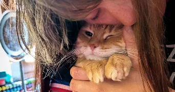 auriane pet sitter à ECOUEN 95440