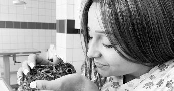 Trécy pet sitter à PUISEAUX 45390_1