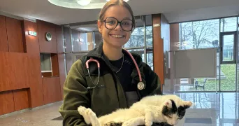 camille pet sitter à METZ 57070