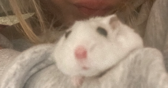 aurelynn pet sitter à AMIENS 80000_2