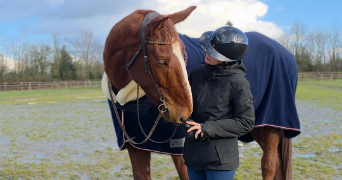 gaelle ines camille pet sitter à CHANTEPIE 35135_1