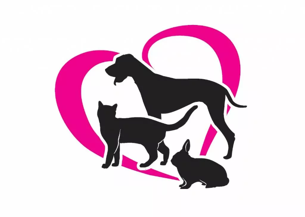carole pet sitter à Sète 34200