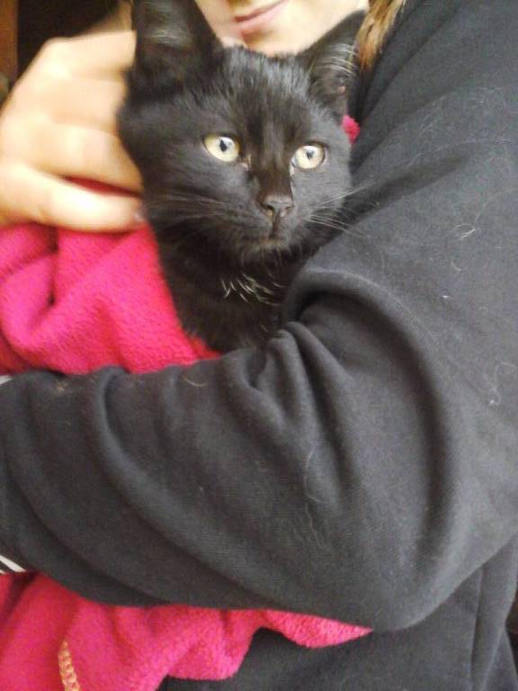 emma  pet sitter à Bordeaux 33440_1