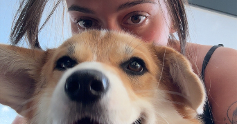 amandine pet sitter à LEVALLOIS PERRET 92300_1