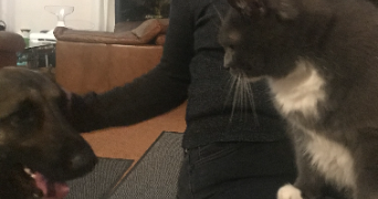 marie pet sitter à TOULOUSE 31500_2