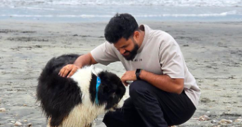 saikiran pet sitter à SARTROUVILLE 78500_0