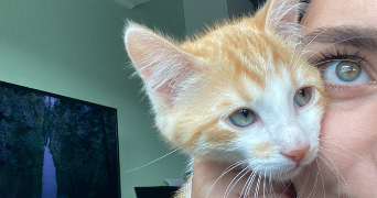 jade pet sitter à ORLEANS 45000_1