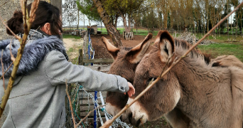 amandine pet sitter à PECHABOU 31320_3