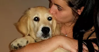 roxane dog sitter à VAIRES SUR MARNE 77360