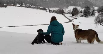 estelle  pet sitter à FAVERGES SEYTHENEX 74210