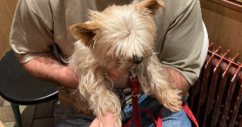 antoine pet sitter à PARIS 10 75010_1