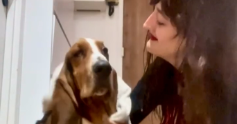 marie pet sitter à PARIS 19 75019_1