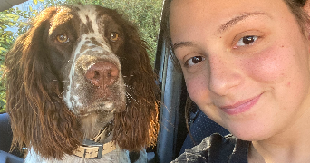 Julie dog sitter à TOULOUSE 31300_3