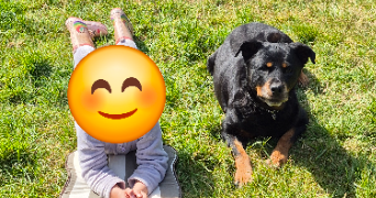 sandra pet sitter à ST CARREUC 22150_1