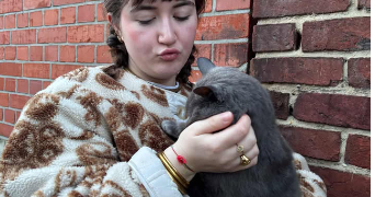 elia pet sitter à ANNEZIN 62232_0