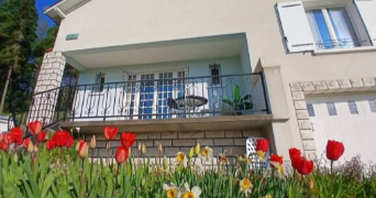 celine pet sitter à LANGEAIS 37130_6