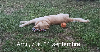 corine pet sitter à MARSEILLE 12 13012_9