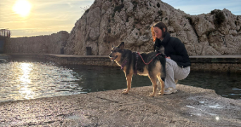 cheyenne pet sitter à MARSEILLE 10 13010_0