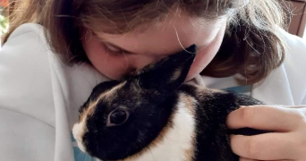 manon pet sitter à MELLE 79500_2