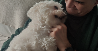 bertrand dog sitter à Achenheim 67204_2