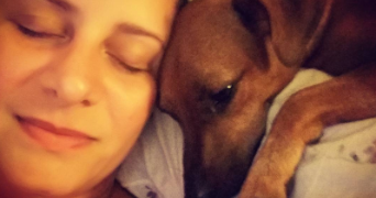 pri pet sitter à VILLENEUVE LES AVIGNON 30400_3