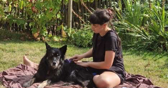 gabrielle pet sitter à LORIENT 56100_0