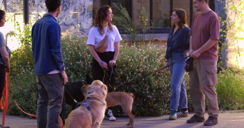 lea dog sitter à YVRAC 33370_2