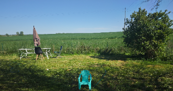 aurore pet sitter à ST REMY EN BOUZEMONT ST GENEST ISSON 51290_3