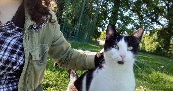 flora pet sitter à ORVAULT 44700_1