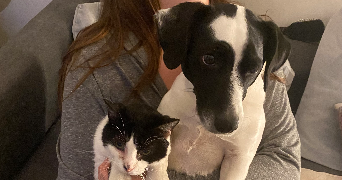 kevin pet sitter à NANTERRE 92000_0