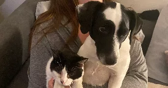 kevin pet sitter à NANTERRE 92000