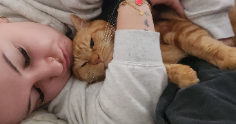 elsa pet sitter à VILLEPREUX 78450_2