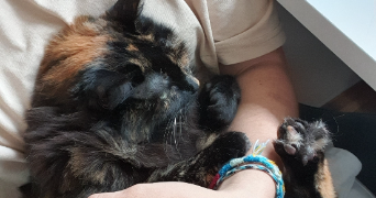 alicia pet sitter à PARIS 13 75013_2