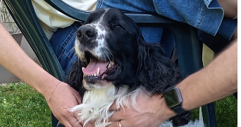 eglantine pet sitter à AMBERIEU EN BUGEY 01500_1