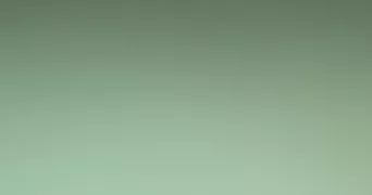 laetizia pet sitter à ISTRES 13800